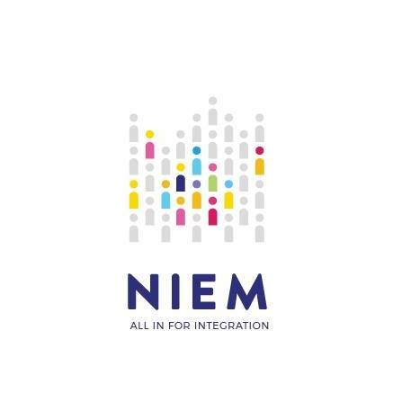 NIEM Evaluation I summary report